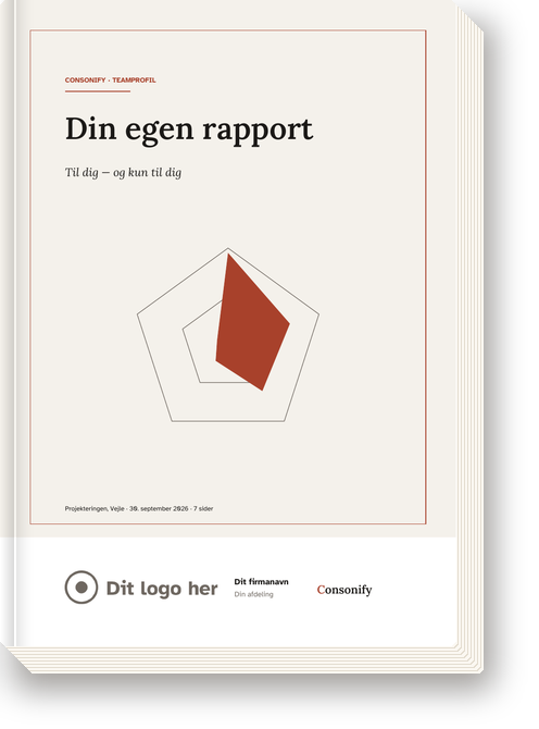 Omslaget på Din egen rapport