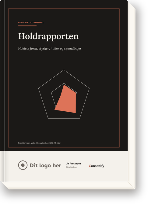 Omslaget på Holdrapporten
